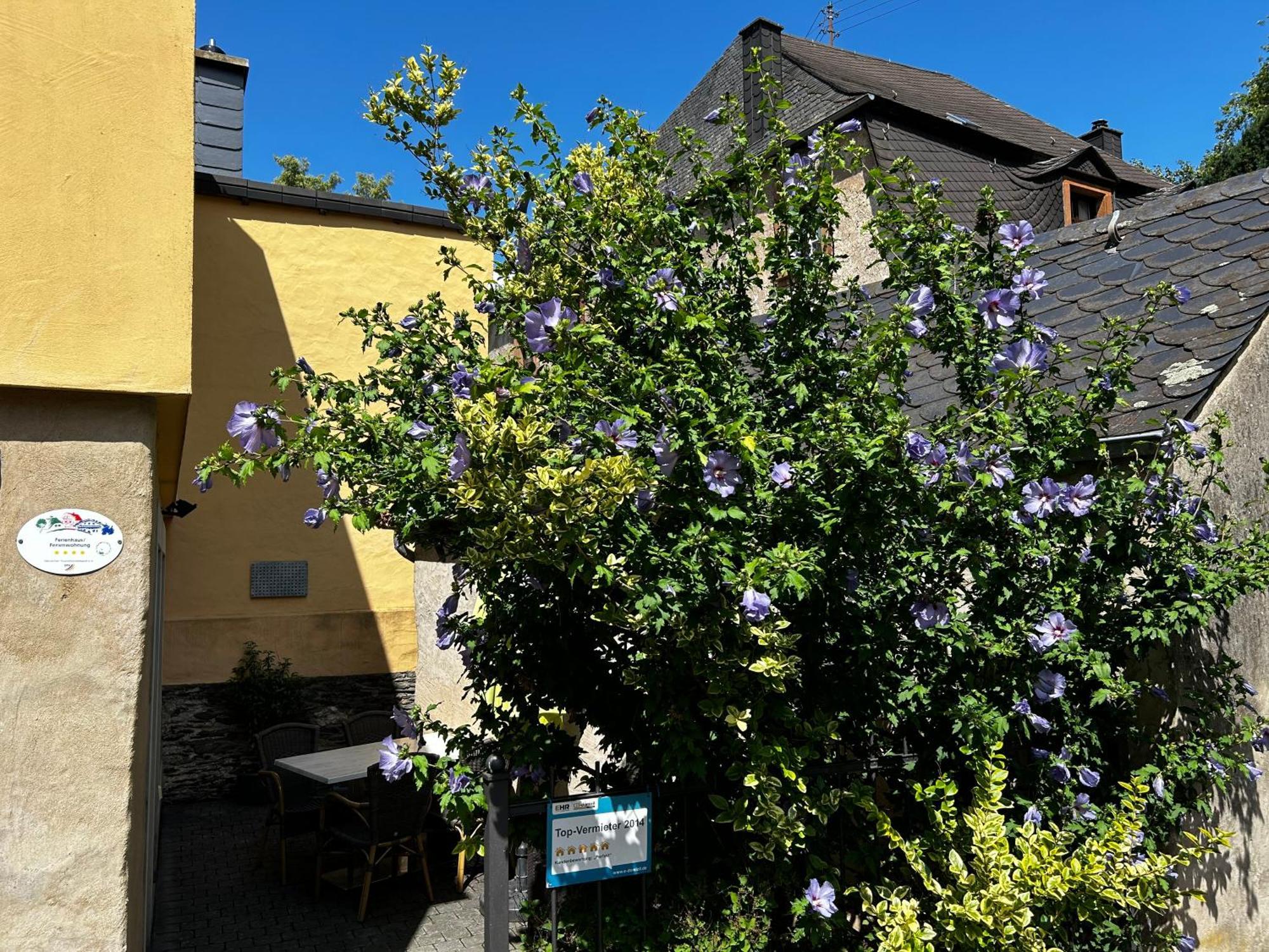 Ferienhaus Ausonius Neumagen-Dhron Extérieur photo